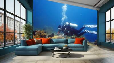 diver swimming along the coral reef in the philippine sea Wall mural