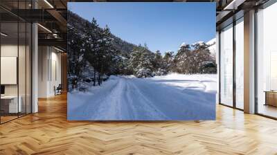 panoramic landscape of winter mountains, passes and snow-covered trees in the Caucasus  Wall mural