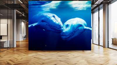 Two dolphins swimming in the ocean with their heads touching each other's noses. Generative AI. Wall mural