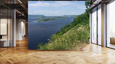 view of the Volga river from bald mountain Wall mural