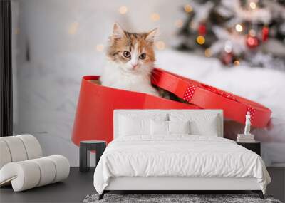 cute tricolor kitten in a red gift box at home on the background of a Christmas tree. A Christmas present. Symbol of the Year Wall mural