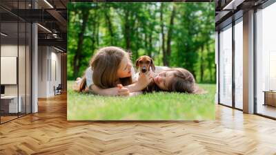 two happy little girls are lying on the green grass in the summer hugging their pet dog dachshund. Children and animals. Children's Day Wall mural