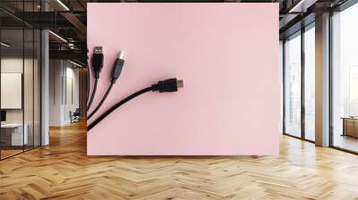 The black USB cable lies on a uniform background with room for text. Wall mural