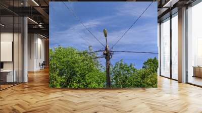 electric pole with wires against the blue sky and green trees Wall mural