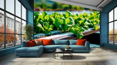 innovative aquaponics farm system, showcasing fish tanks and hydroponic vegetable beds in harmony.Generative AI Wall mural