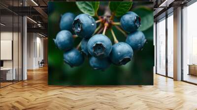 A cluster of blueberries on a leaf Wall mural