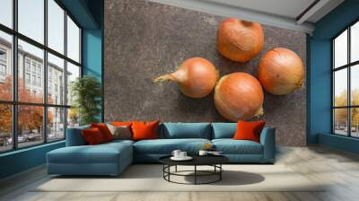 4 onions on a brown stone table, close-up Wall mural