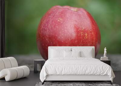 One beautiful juicy red apple on a wooden board on a green background. Wall mural