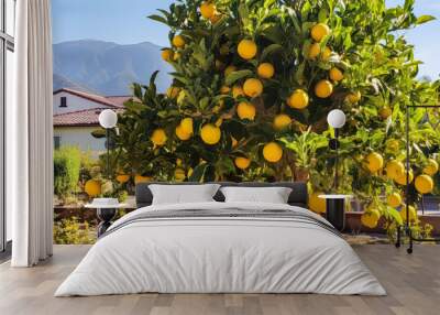 Embrace the beauty of a lush green garden in spring, featuring an orange tree. This picturesque image captures the essence of farming and makes for a wonderful wallpaper. Wall mural