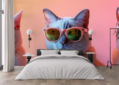 Three cats wearing sunglasses and glasses are posing for a photo. The cats are wearing different colored glasses and the photo is in a bright pink background. Scene is playful and fun Wall mural