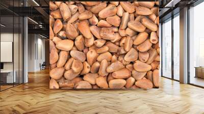 Hazelnut kernels. Raw food. Organic natural food Wall mural