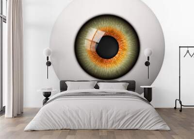 Realistic human eyeball. The retina is the foreground. Vector illustration. Wall mural