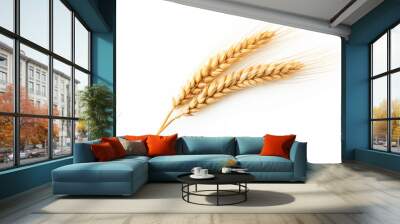 An ear of wheat isolated on white background Wall mural