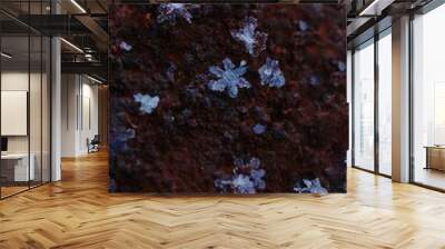 snowflake on rusty metal Wall mural