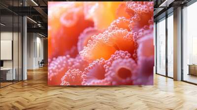 Vibrant Underwater Seascape with Delicate Orange and Pink Sea Anemones Illuminated by Natural Light Wall mural