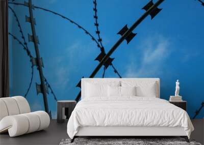  Barbed wire against the blue sky  Wall mural