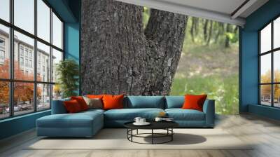 green tree trunk Wall mural