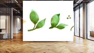 Watercolor fresh green leaves set on white background. Hand painting on paper Wall mural