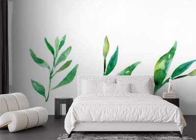 Watercolor fresh green tea leaf isolated on white background Wall mural