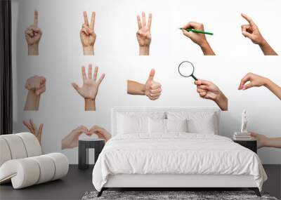 Collection of hands showing gestures such as ok, peace, heart shape, thumb up, point to object, shaka, holding magnifying glass, writing isolated on a white background. Creative collage. Modern design Wall mural