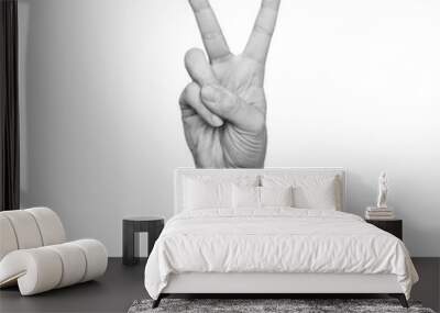 Female hand showing a peace gesture isolated on a white background. 3d trendy collage in magazine style. Contemporary art. Modern design. Victory hand sign Wall mural