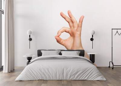 Female hand showing the ok gesture isolated on a white background. Okey hand sign Wall mural