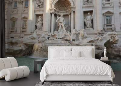 The Trevi Fountain Wall mural