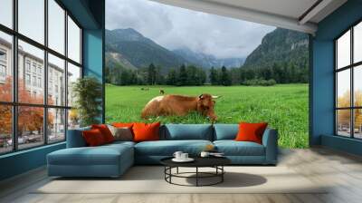 cow in the mountain Wall mural