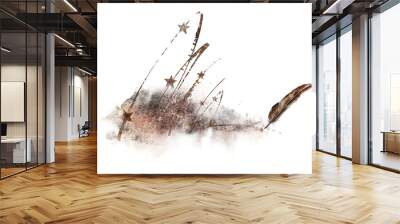 Abstract illustration with old rusty stars and a bronze feather. Book writer logo. Wall mural