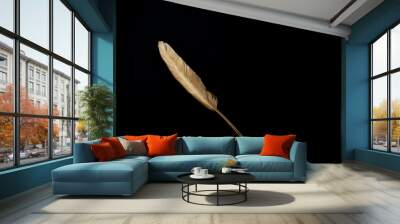 one gold feathers on a black background Wall mural