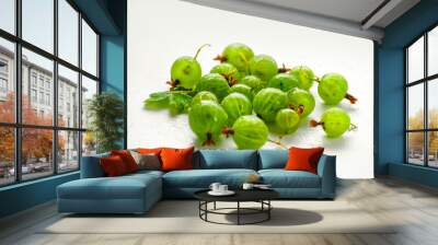 Gooseberry close-up. Bright green berries on a white background. Wall mural