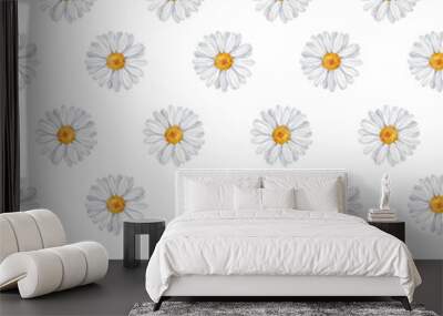 Watercolor floral pattern with daisies, wildflowers, summer print Wall mural