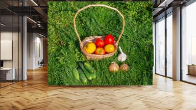 Autumn still life. Vegetables grown in the country. Wall mural