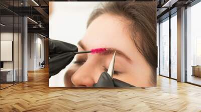 Young woman undergoing eyebrow correction procedure in beauty salon, closeup. Brow comb, Wall mural