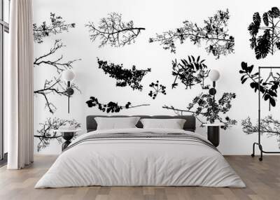 A set of tree sprigs. Vector illustration Wall mural