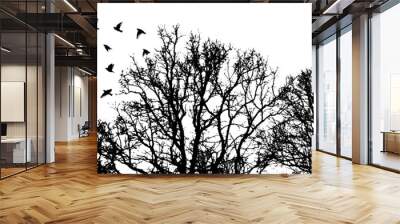 Flying birds and trees silhouette. Vector illustration Wall mural