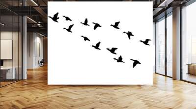 Silhouette of flying ducks. hand drawing. Not AI, Vector illustration Wall mural