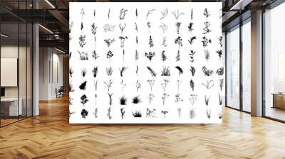 Vector set of boho plants. Beautiful wild grass and flowers. Collection of floral elements: pampas grass, poppy heads, lavander, cotton and other. Stylish flat elements for your design Wall mural