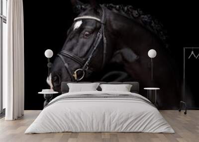 Beautiful horse on a black background Wall mural