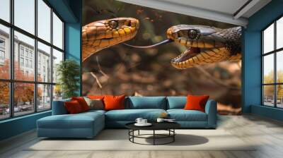 Indian Cobra fighting Wall mural