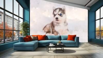 A little one and a half month old husky puppy sits on white fluff with luminous garlands. Wall mural