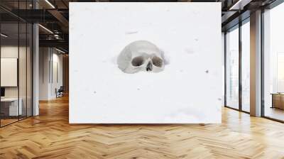 the human skull lies in the snow Wall mural