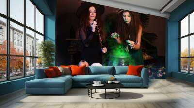 Two witches with disheveled hair brew a magic potion in a black cauldron, standing in a dark room. Green smoke is coming out of the pot. Celebrating halloween. Wall mural