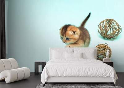 Cute Scottish lop-eared kitten, one month old, fluffy Golden playing with balls on a delicate mint background with a copy space. A perfect gift for children to enjoy. Mock up Wall mural