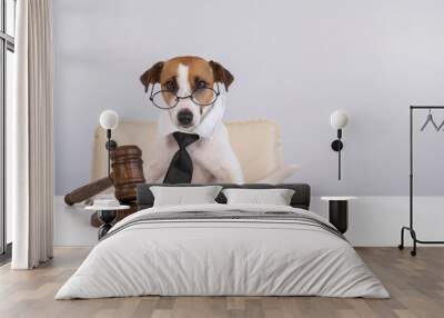 A jack russell terrier dog in a tie sits behind on a chair with a judge's gavel on the table. Wall mural