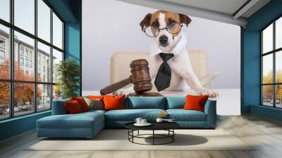 A jack russell terrier dog in a tie sits behind on a chair with a judge's gavel on the table. Wall mural