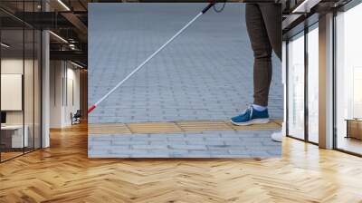 Close-up of a woman's legs accompanying a blind elderly lady outdoors. Wall mural