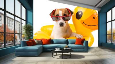 Dog jack russell terrier in sunglasses in an inflatable circle duck on a white background. Isolate.  Wall mural