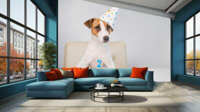 Jack russell terrier in a festive cap by a pie with a candle on a white background. The dog is celebrating its second birthday Wall mural