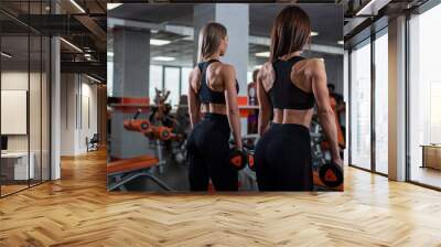 Two young, beautiful girls stand with their backs to the camera and hold dumbbells in their hands. Very prominent muscles. gym. Wall mural